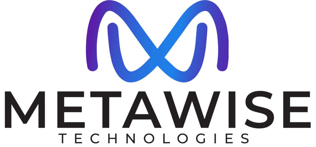 metawise Technologies a expert digital marketing and seo agency in lahore, pakistan